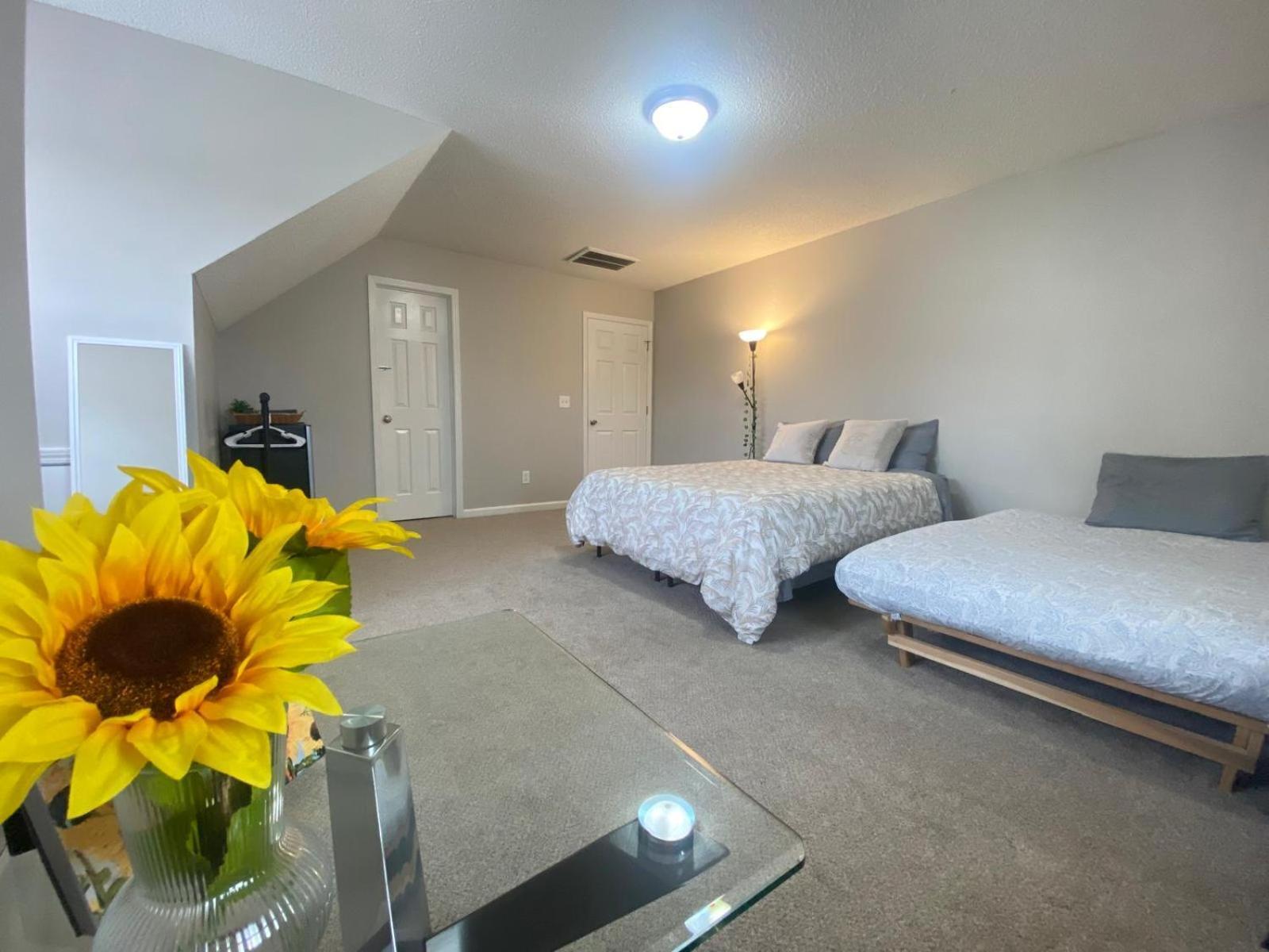 Private Room & Bathroom Close To Downtown Raleigh Exterior foto